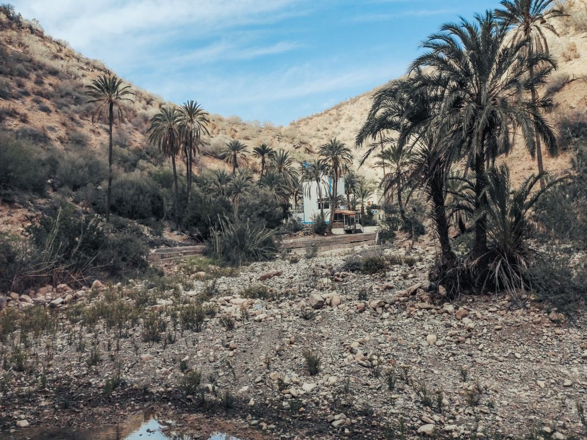 Palm oasis in the Imouzzer Ida Ou Tanane valley region
